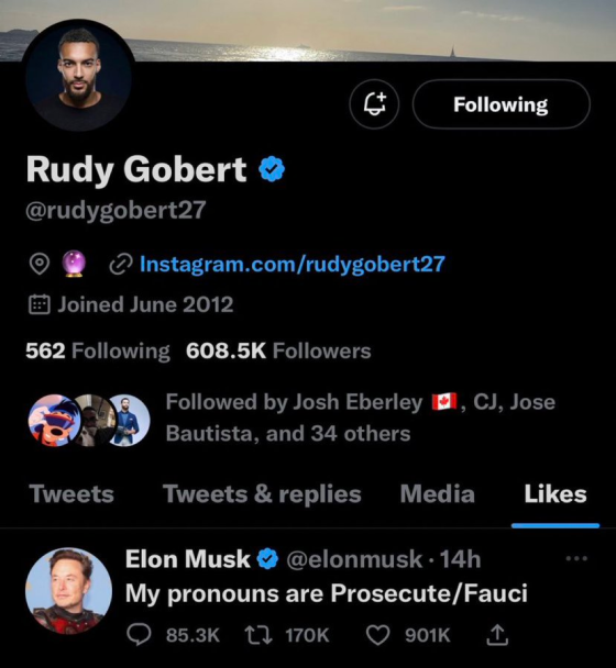 Rudy Gobert liked Elon Musk shot at Dr. Anthony Fauci