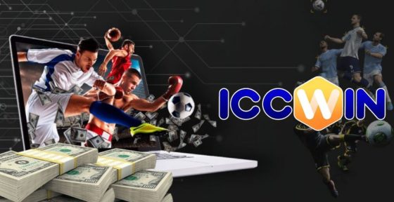 About IccWin betting website