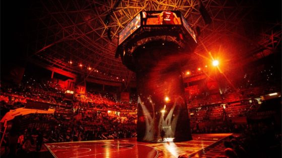 Betting on the EuroLeague: the best deals online
