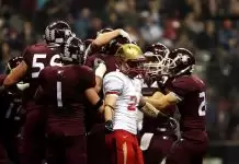 The Benefits of Using a Professional Sports Betting Software