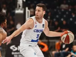 Wolves seek victory with the support of a packed Dražen Petrović Hall against Partizan