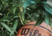 Building Dynasties: The Inspirational Journeys of Basketball Legends