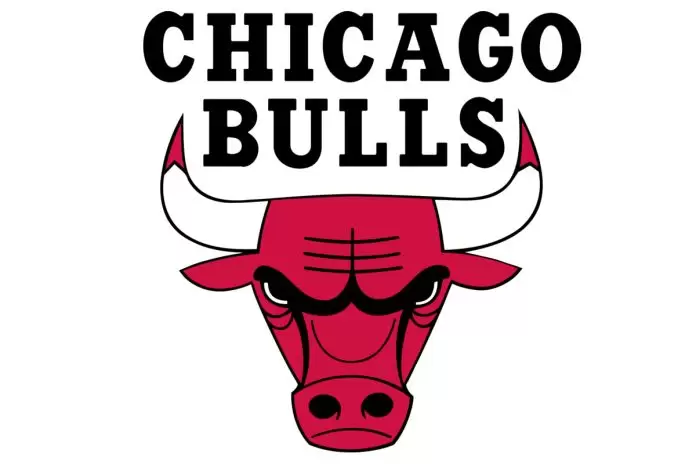 Chicago Bulls logo