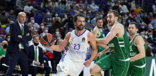 Sergio Llull apologizes to Madridistas