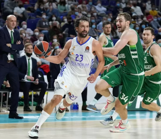 Sergio Llull apologizes to Madridistas