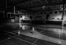 The Rise of International Talent in the NBA and European Leagues