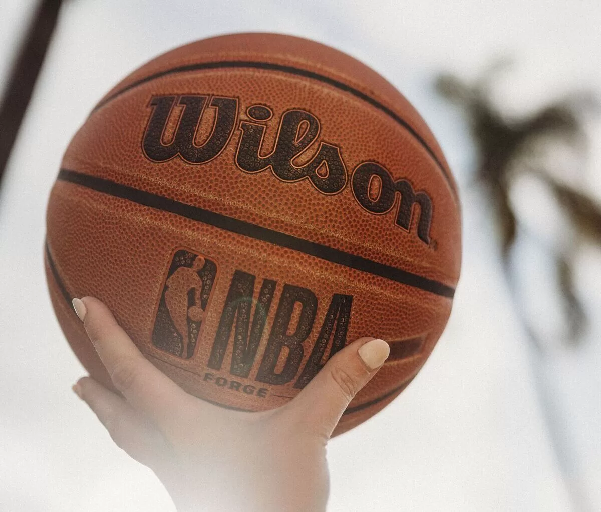 Data to Look for When Doing Prop Betting on Basketball